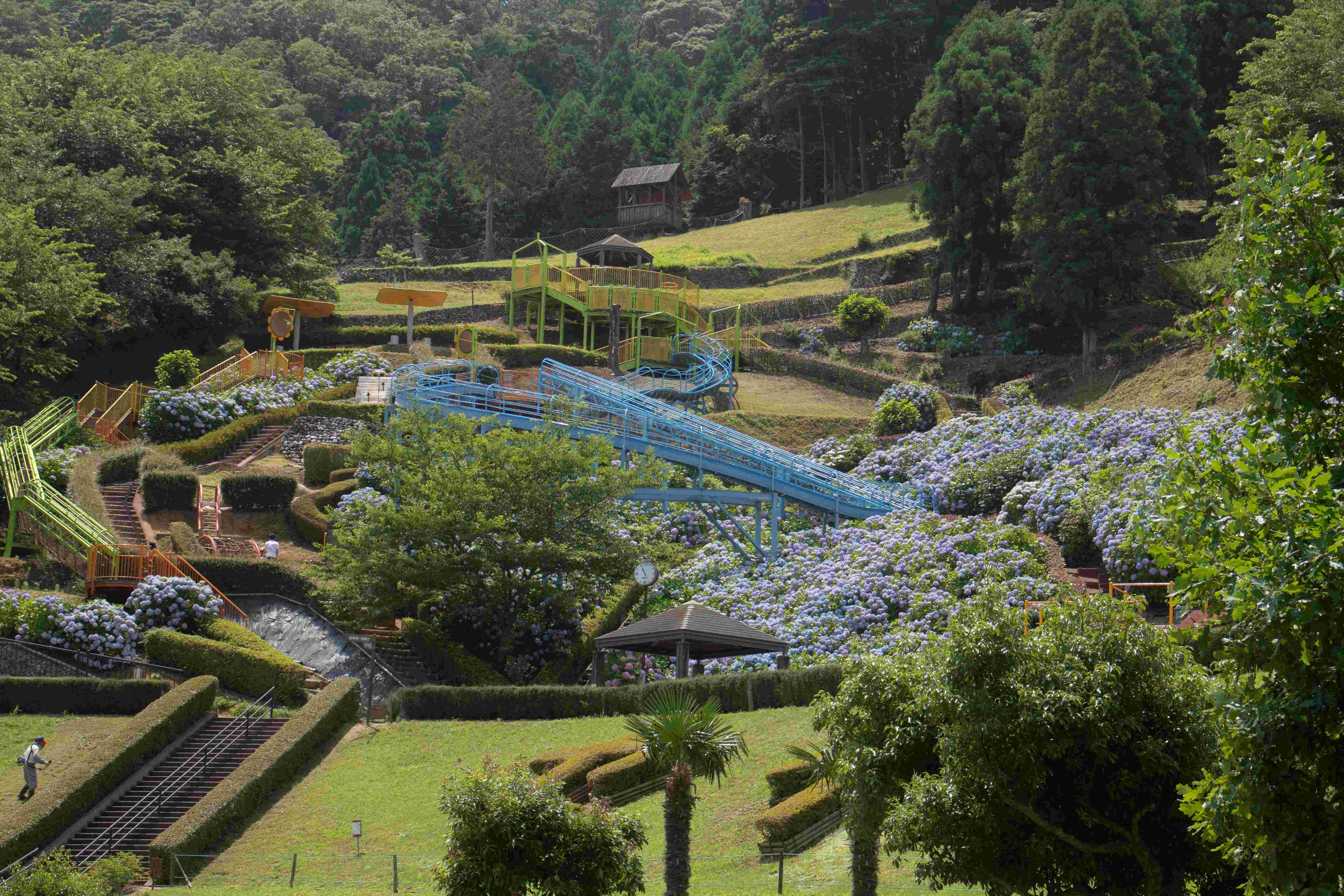 🌳 아난 서부 공원(아난 세이부 코엔) 이미지 1